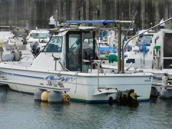 thumb_088580-yanmar-fx24bz