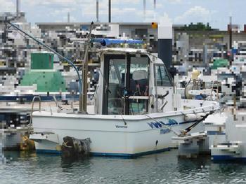thumb_088580-yanmar-fx24bz
