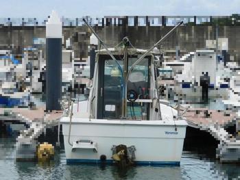 thumb_088580-yanmar-fx24bz