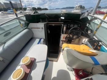 thumb_088611-bayliner-275