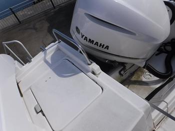 thumb_088636-yamaha-s-qualo