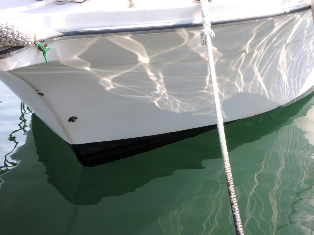 banner_088671-tohatsu-tsc250