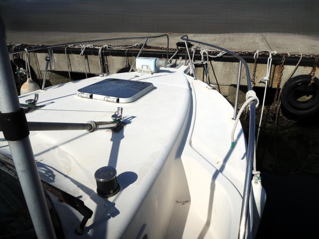 banner_088671-tohatsu-tsc250