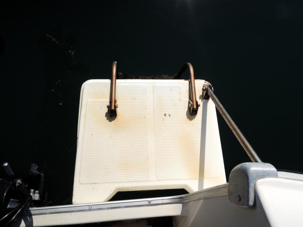 banner_088671-tohatsu-tsc250