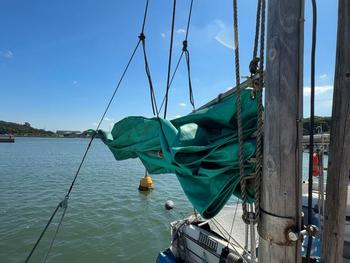 thumb_088672-yanmar-da-28f