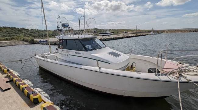 medium_088748-yamaha-uf-33