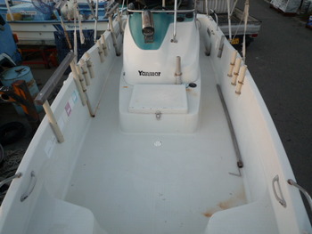 thumb_088929-yanmar-lf20z