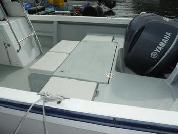 thumb_088968-yamaha-w-33