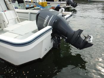 thumb_088968-yamaha-w-33