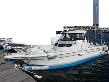 thumb_089290-yanmar-fx26z