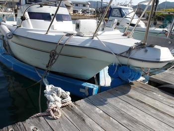 thumb_089290-yanmar-fx26z