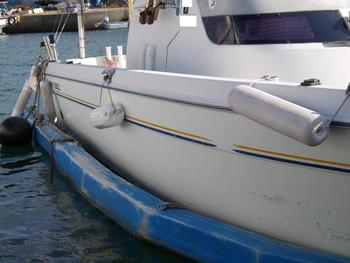 thumb_089290-yanmar-fx26z