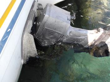 thumb_089290-yanmar-fx26z