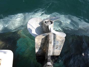 thumb_089290-yanmar-fx26z