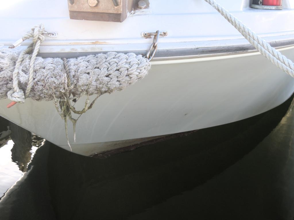 banner_089315-yanmar-lf22z