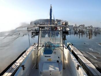 thumb_089315-yanmar-lf22z
