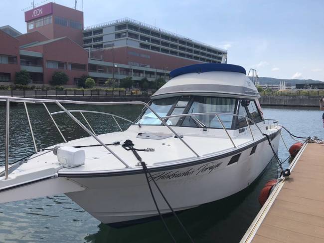 medium_089330-yamaha-pc-31-pacific-cruiser-31