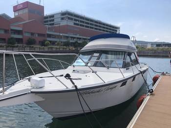 thumb_089330-yamaha-pc-31-pacific-cruiser-31