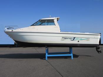 thumb_089600-yanmar-ef25z