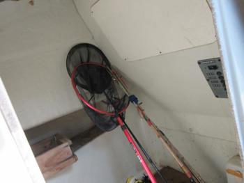 thumb_089600-yanmar-ef25z