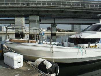 thumb_089650-yamaha-dx-39