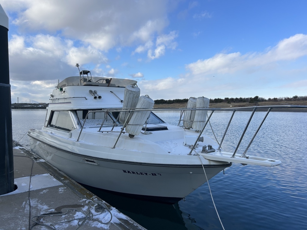 banner_089848-bayliner-2556-ciera