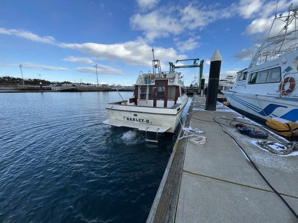 banner_089848-bayliner-2556-ciera