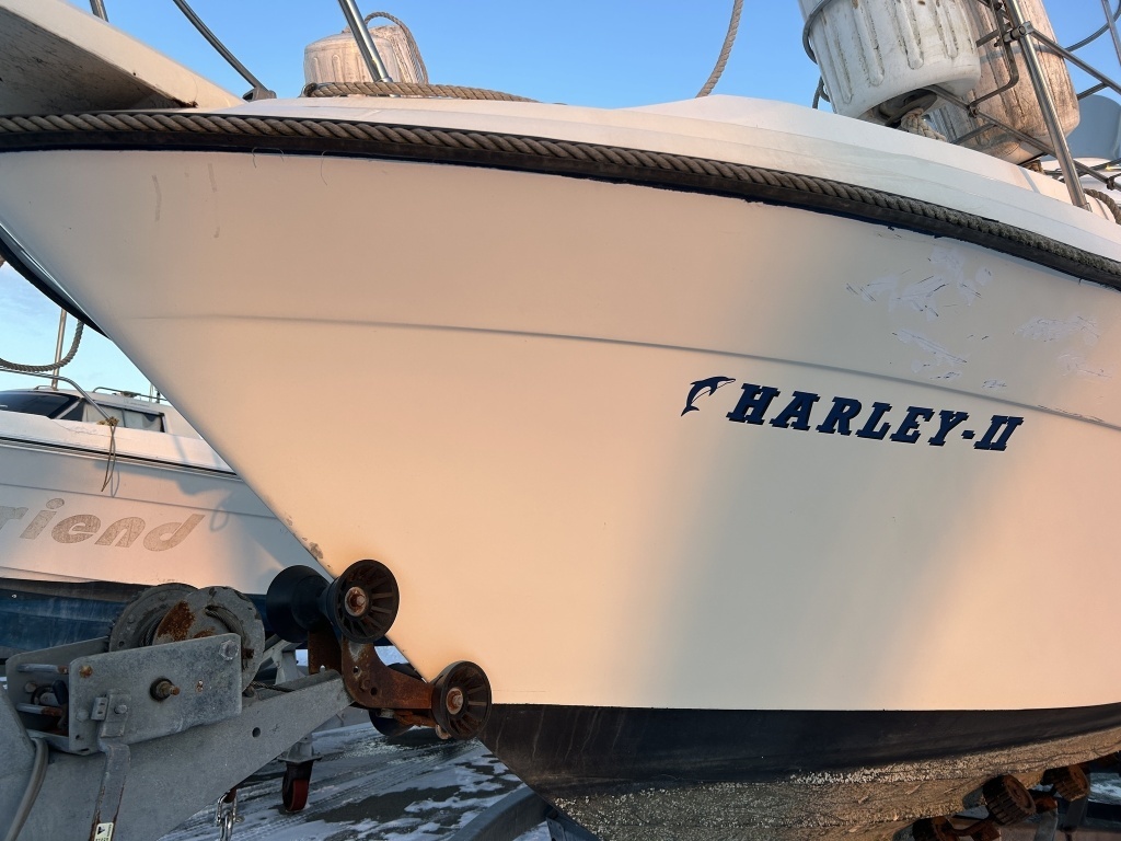 banner_089848-bayliner-2556-ciera