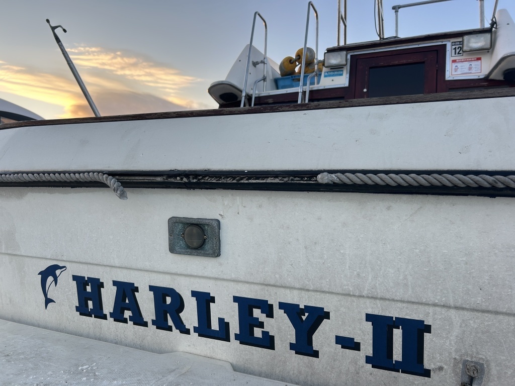 banner_089848-bayliner-2556-ciera