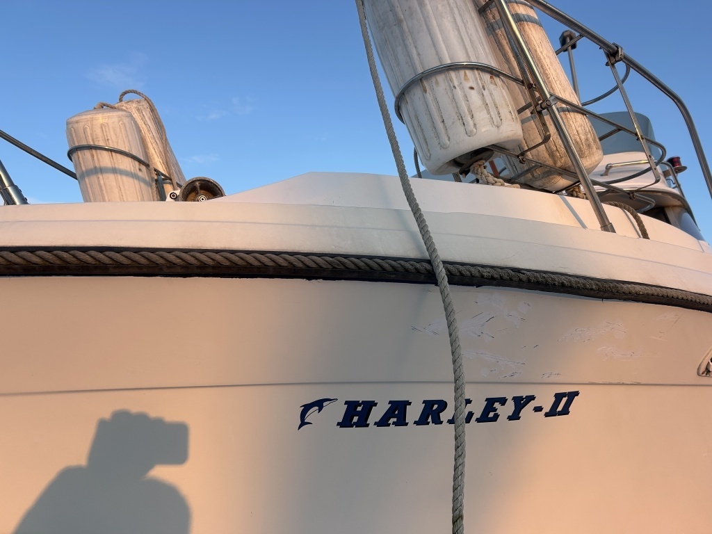 banner_089848-bayliner-2556-ciera