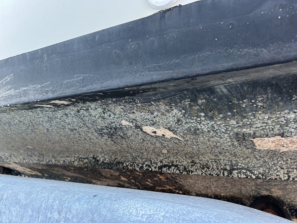 banner_089848-bayliner-2556-ciera