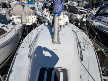 thumb_089890-elliott-31