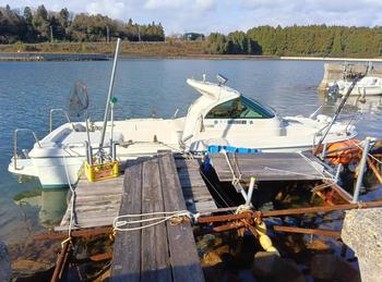 thumb_089945-yanmar-ef23z