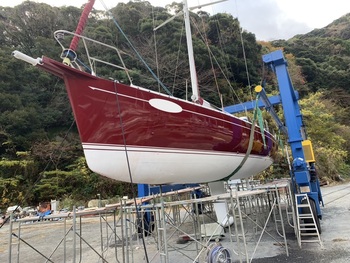 thumb_089981-alubat-cigale-16