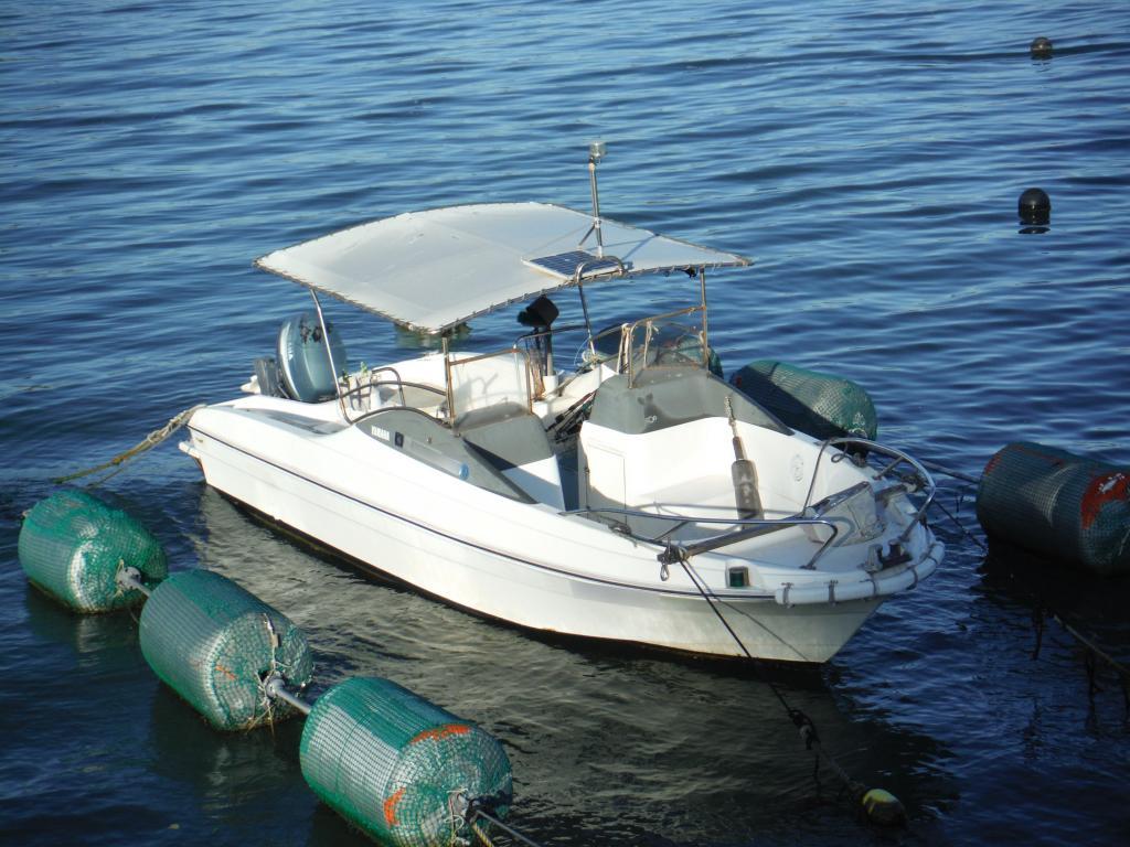 banner_089995-yamaha-srv-20