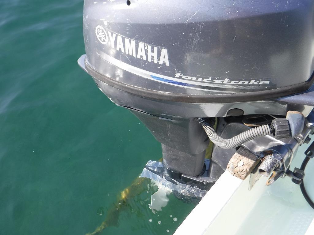 banner_090047-yamaha-w-19