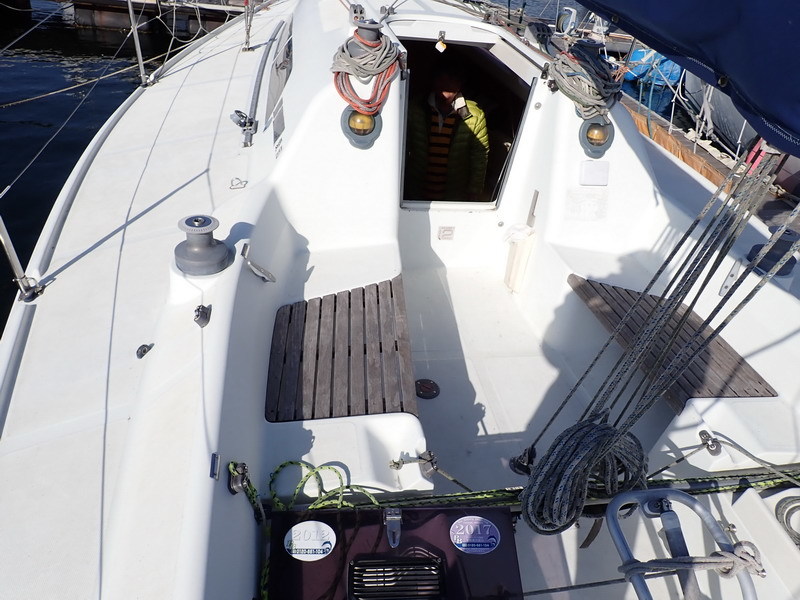 banner_090138-tsuboi-yacht-seam-31