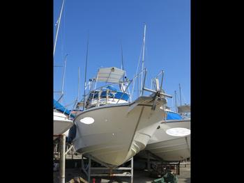 thumb_090143-yamaha-fc-31