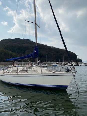 thumb_090243-gibsea-312