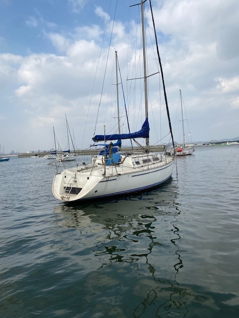 banner_090243-gibsea-312