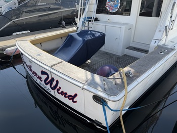 thumb_090335-viking-47-convertible
