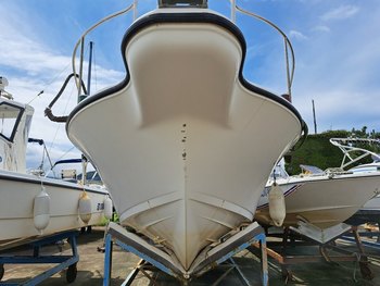 thumb_090355-yamaha-yf-23
