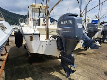 thumb_090355-yamaha-yf-23