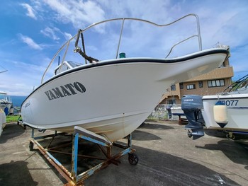 thumb_090355-yamaha-yf-23