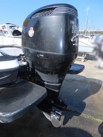thumb_090382-yamaha-ag-21