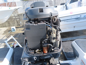 thumb_090382-yamaha-ag-21