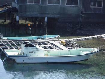 thumb_090437-yanmar-zd26