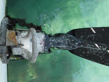 thumb_090437-yanmar-zd26