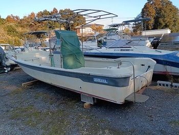 thumb_090448-yamaha-fw-21