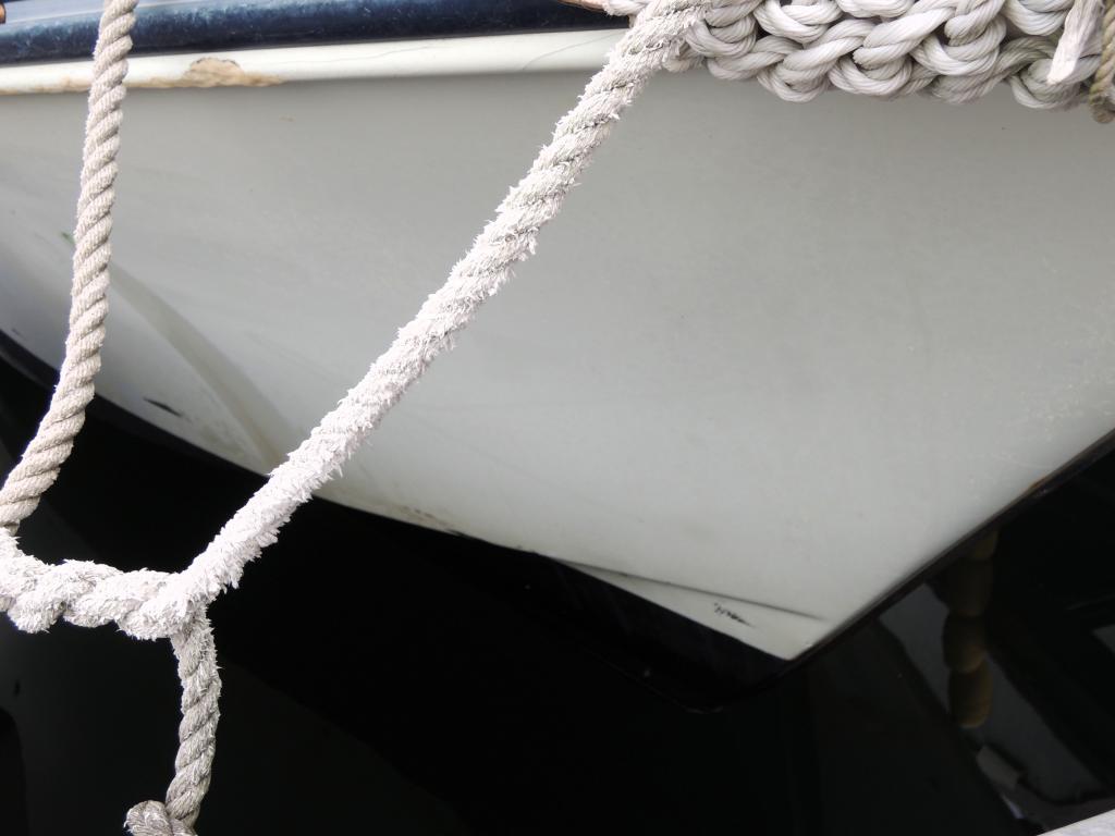 banner_090500-yanmar-zd21c